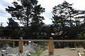 Carmel 10-30-08 038